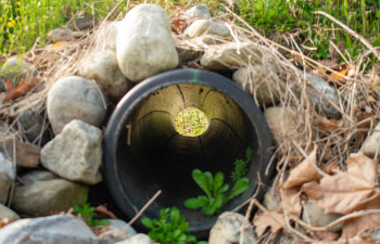 Close-up of a pipe surrounded by rocks, with a view through the pipe to grass and sunlight on the other side.